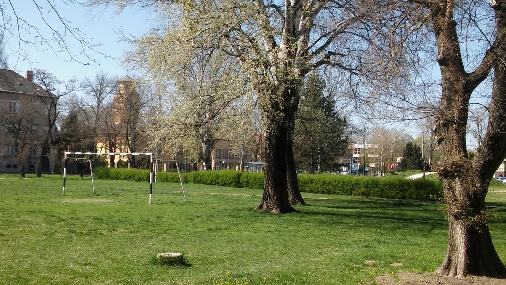 Szamoca Apartman Szegedin Exterior foto